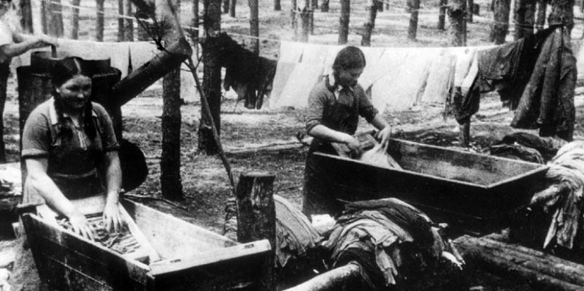 BANNO-laundries industrial complexes, public house, or "factory clean", which forged the Great Victory? BANNO-laundries industrial complexes, public house, or "factory clean", which forged the Great Victory?