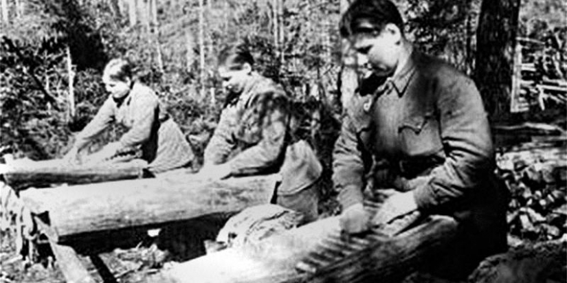 BANNO-lavanderías industriales complejos, casa pública, o de fábrica "y " limpio", que forjó la Gran Victoria?