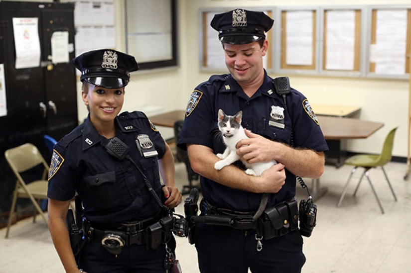 Beauties in uniform: the look of the women police in different countries