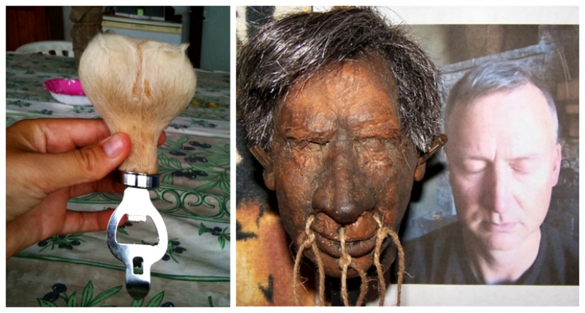 Beer made from elephant dung and scrotum kangaroo: 9 of the strangest Souvenirs