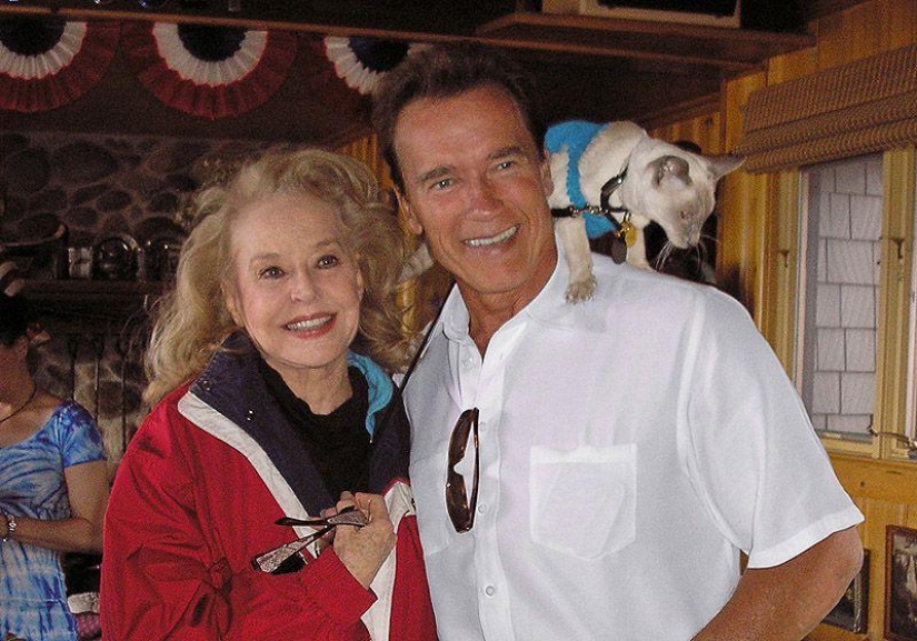 Betty Brosmer — the owner of the most gorgeous figures 50 years Betty Brosmer — the owner of the most gorgeous figures 50 years