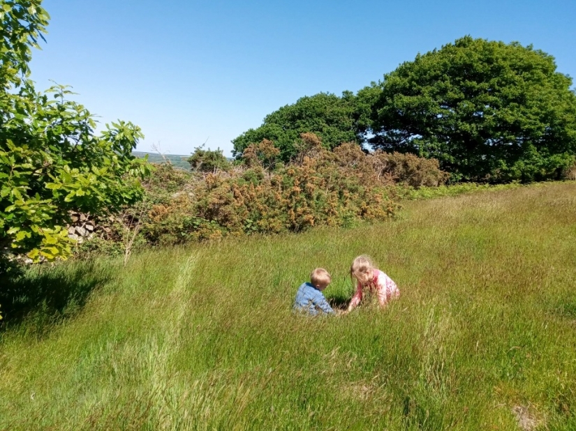 Beyond civilization: the family of Britons living a fully Autonomous life on the farm