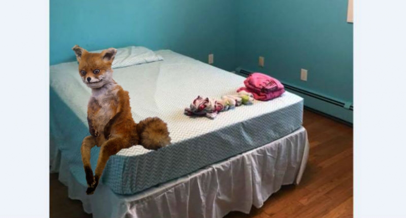 "Bienvenido a juvie": como castigo, la madre se volvió a la hija de la habitación a la celda de una prisión "Bienvenido a juvie": como castigo, la madre se volvió a la hija de la habitación a la celda de una prisión