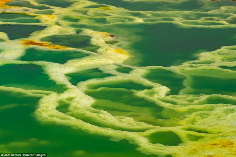 Bienvenido al infierno: parece el trabajo más caliente en el mundo