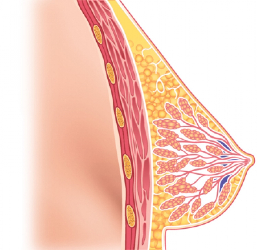 Big Breasts is a gift or a punishment? Revelation owner-eighth the size Big Breasts is a gift or a punishment? Revelation owner-eighth the size