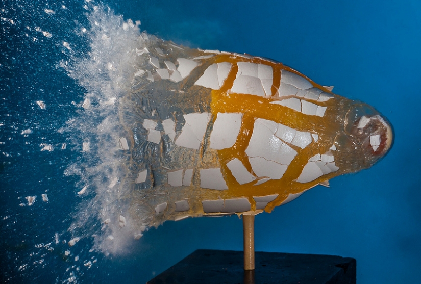 Blow up... the brain!