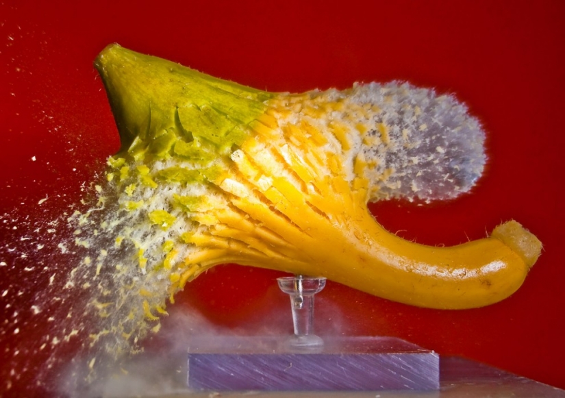 Blow up... the brain!