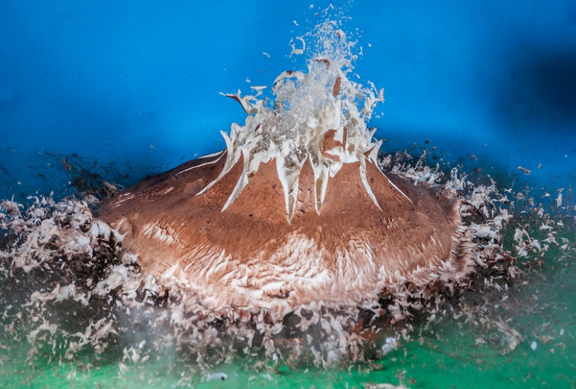 Blow up... the brain!