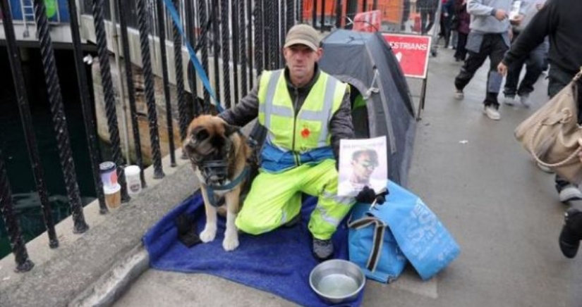 British vagabundo perdido casi por completo de los ingresos debido al hecho, bien vestido, y tiene un perro