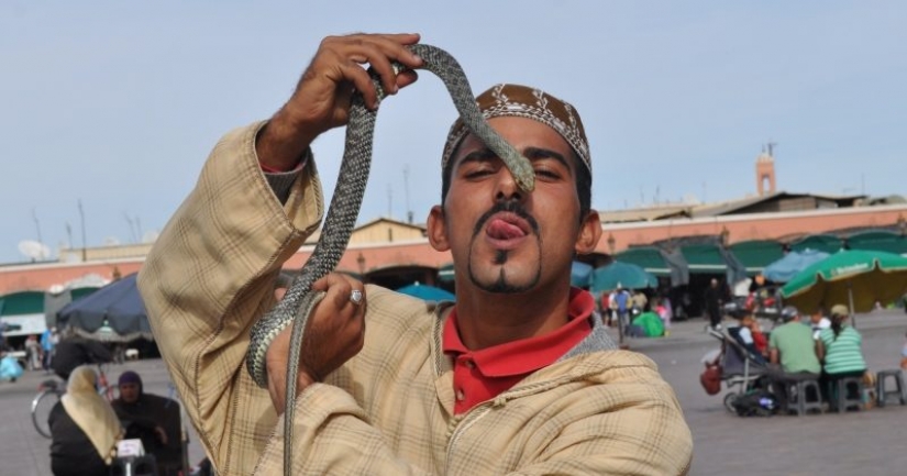 Broma letal: miedo Cobra y murió Broma letal: miedo Cobra y murió