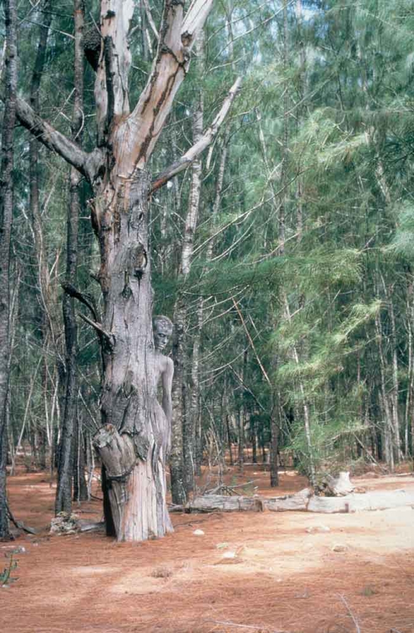 Busque la mujer: modelos desnudas se mezclan con el paisaje