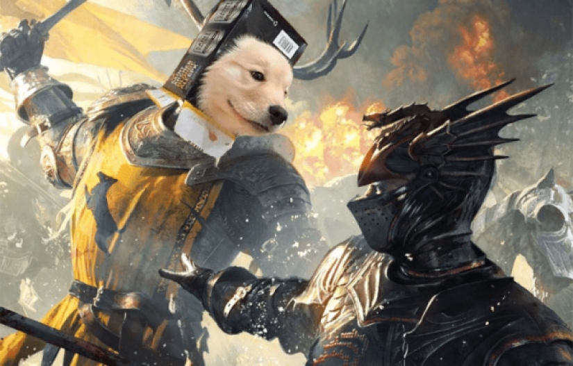 Cachorro tiene el hocico en el cuadro y de inmediato se convirtió en el héroe de photojob