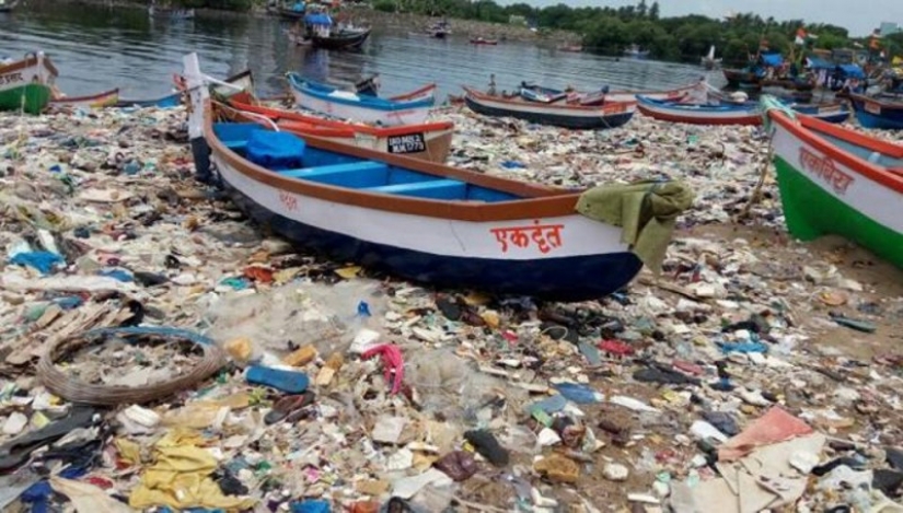 "Campeón de la Tierra": ¿cómo un hombre ordinario borra la playa de 5000 toneladas de basura