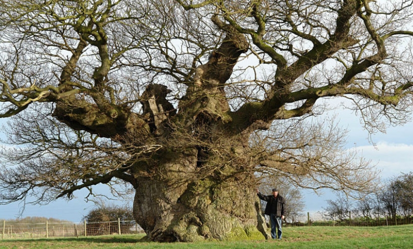 Capacidad de planificar para los próximos 500 años, o lo que la fuerza de la gran Bretaña