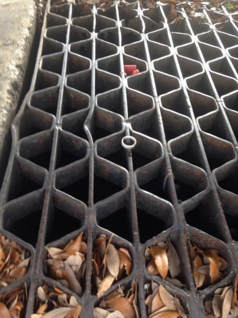 Carried: 11 stories about how happy the case has helped to avoid the tragedy Carried: 11 stories about how happy the case has helped to avoid the tragedy