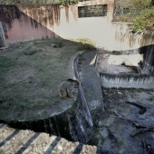 Cerrado un infierno de un zoológico, donde vivía "el más solitario de elefantes en el mundo" Cerrado un infierno de un zoológico, donde vivía "el más solitario de elefantes en el mundo"