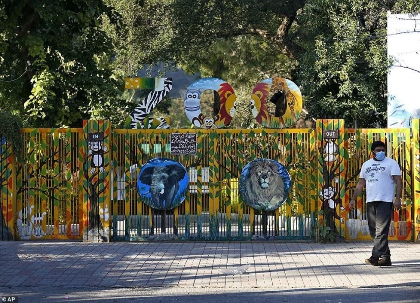Cerrado un infierno de un zoológico, donde vivía "el más solitario de elefantes en el mundo"