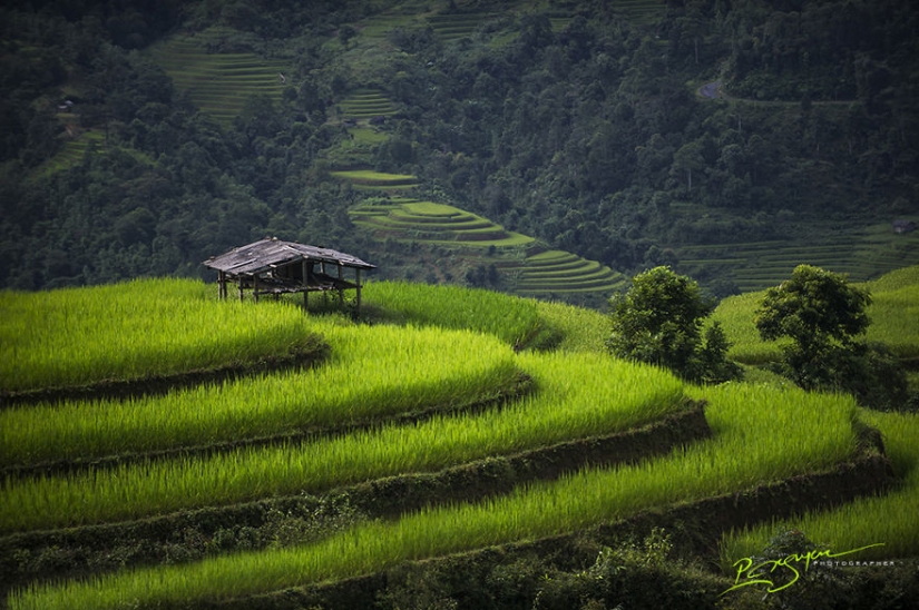 Charming beauty of Vietnam