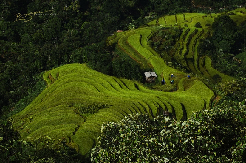 Charming beauty of Vietnam