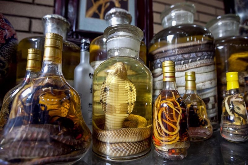 Clasificación de comestibles, no comestibles: los 6 más repugnante delicias de Asia Clasificación de comestibles, no comestibles: los 6 más repugnante delicias de Asia