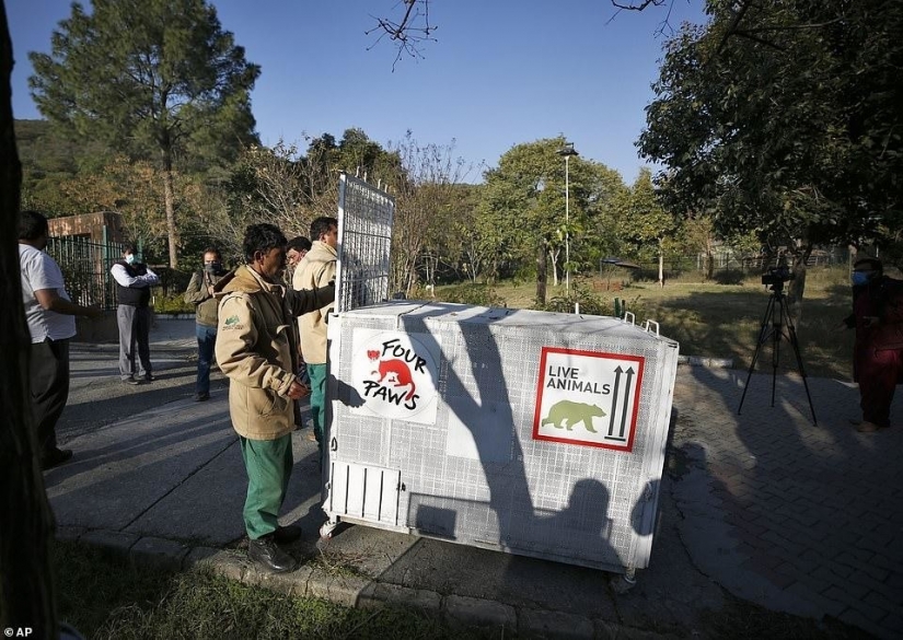 Closed a hell of a zoo, where he lived "the loneliest elephant in the world"