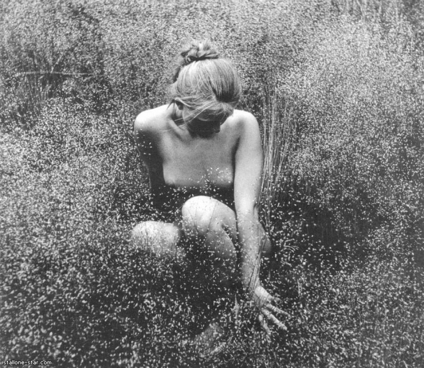 Clásico de la literatura erótica de la unión Soviética de lituania fotógrafo Rimantas Dichavicius Clásico de la literatura erótica de la unión Soviética de lituania fotógrafo Rimantas Dichavicius