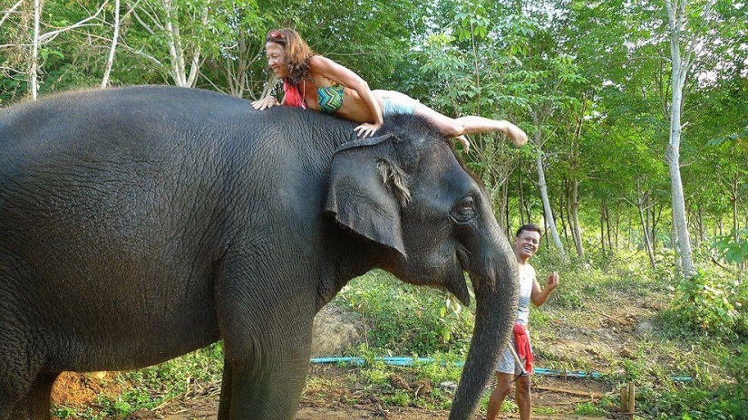 ¿Cómo bañar a un elefante