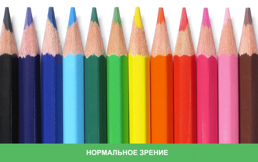 Cómo el mundo se ve a través de los ojos de un daltónico