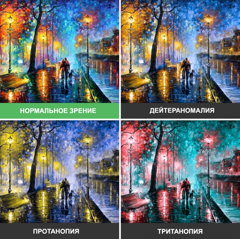 Cómo el mundo se ve a través de los ojos de un daltónico