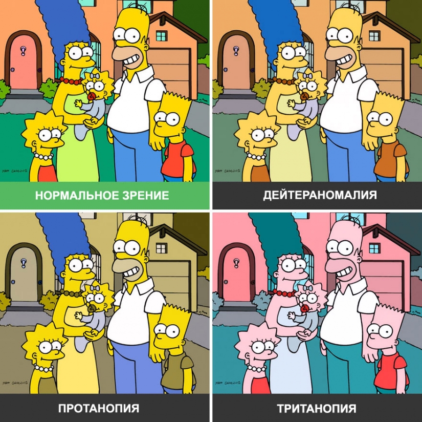 Cómo el mundo se ve a través de los ojos de un daltónico