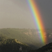 Cómo el mundo se ve a través de los ojos de un daltónico