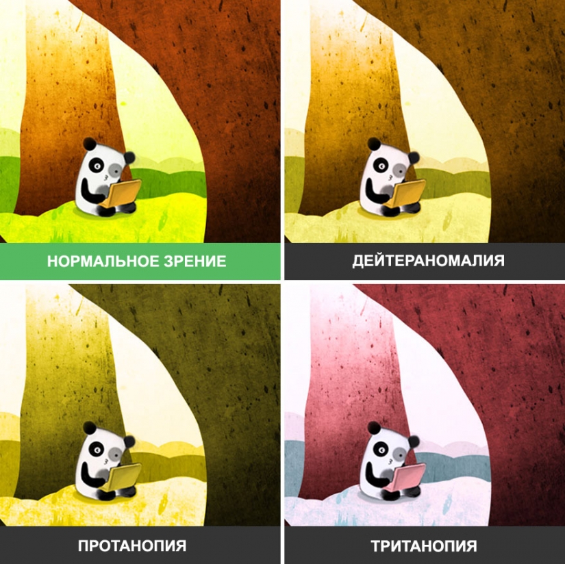 Cómo el mundo se ve a través de los ojos de un daltónico