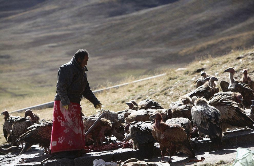 Cómo es el "sky burial" en el Tíbet