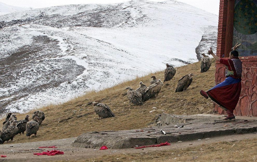 Cómo es el "sky burial" en el Tíbet