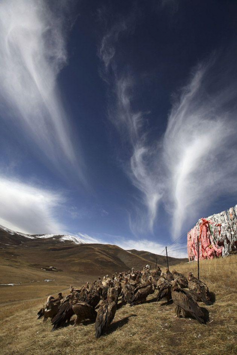 Cómo es el "sky burial" en el Tíbet