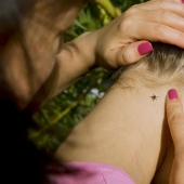 Cómo escapar de las garrapatas? Más vale prevenir que lamentar