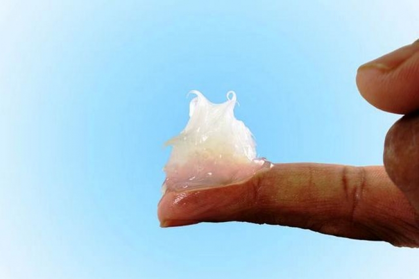Cómo hacer el dinero en el que los tontos y los coronavirus: American protección vendida en 5 G de radiación Cómo hacer el dinero en el que los tontos y los coronavirus: American protección vendida en 5 G de radiación