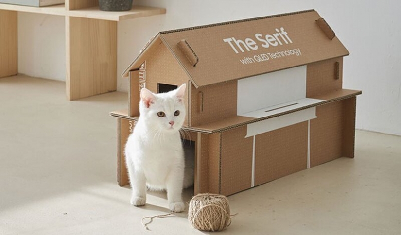 Cómo la caja de TELEVISOR Samsung en el que puedes hacer un gato de la casa
