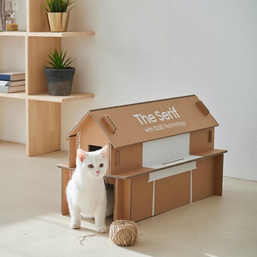 Cómo la caja de TELEVISOR Samsung en el que puedes hacer un gato de la casa