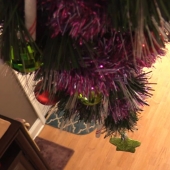 Cómo proteger un árbol de Navidad de los perjudiciales y atrevida Mascotas