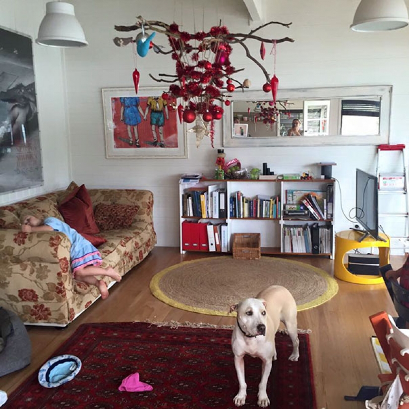 Cómo proteger un árbol de Navidad de los perjudiciales y atrevida Mascotas Cómo proteger un árbol de Navidad de los perjudiciales y atrevida Mascotas