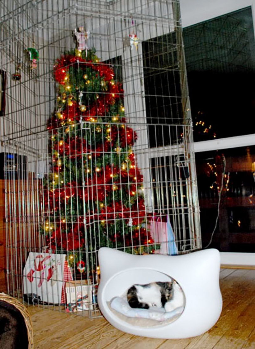 Cómo proteger un árbol de Navidad de los perjudiciales y atrevida Mascotas Cómo proteger un árbol de Navidad de los perjudiciales y atrevida Mascotas