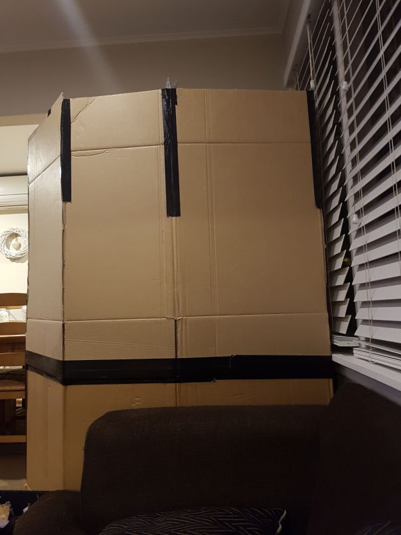 Cómo proteger un árbol de Navidad de los perjudiciales y atrevida Mascotas Cómo proteger un árbol de Navidad de los perjudiciales y atrevida Mascotas