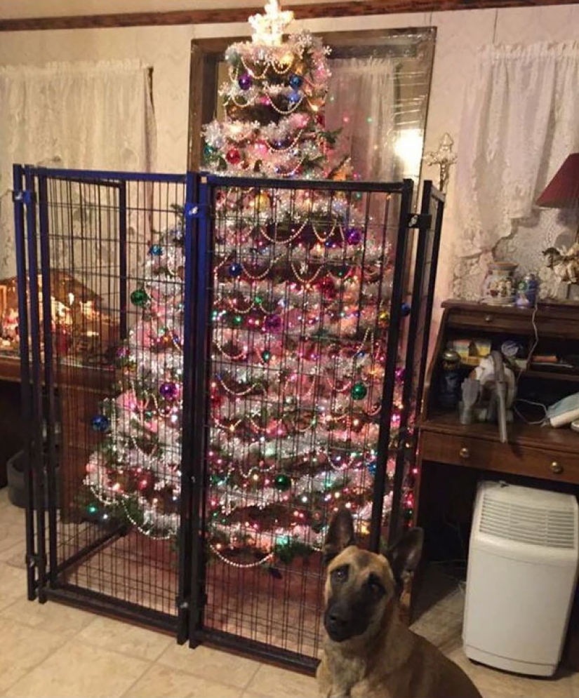Cómo proteger un árbol de Navidad de los perjudiciales y atrevida Mascotas Cómo proteger un árbol de Navidad de los perjudiciales y atrevida Mascotas