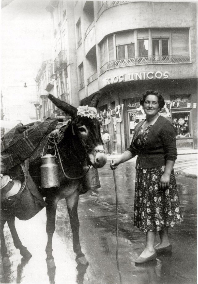Como bestias del siglo xix, las personas eran amigos