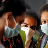 Como la India ganó el coronavirus con estiércol de vaca, y las películas de bollywood "caña" cuarentena