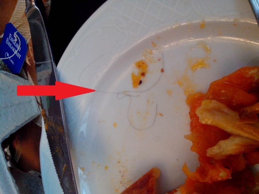 Como resulta, la venganza de los clientes, los camareros y cocineros Como resulta, la venganza de los clientes, los camareros y cocineros