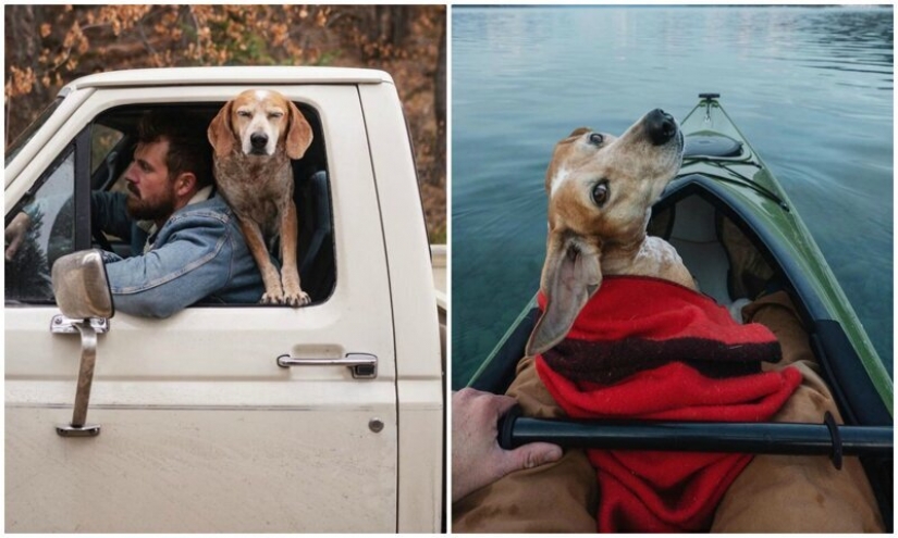 Como un viaje fotógrafo Theron Humphrey y su perro Maddie