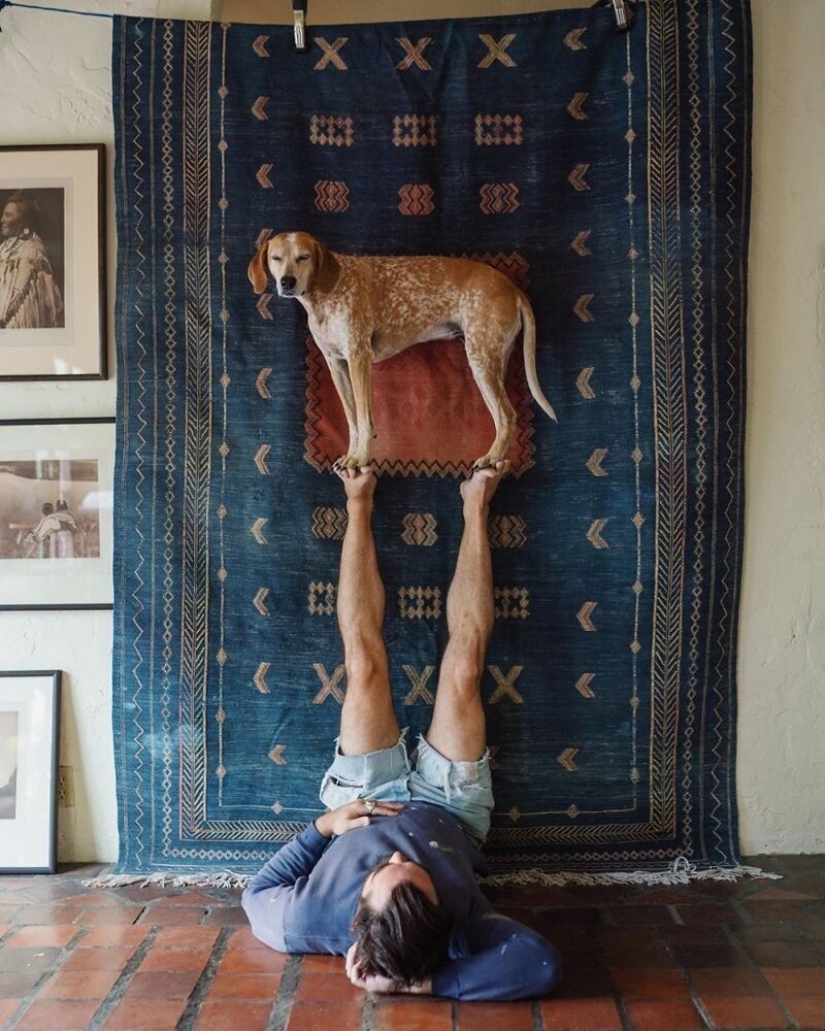Como un viaje fotógrafo Theron Humphrey y su perro Maddie