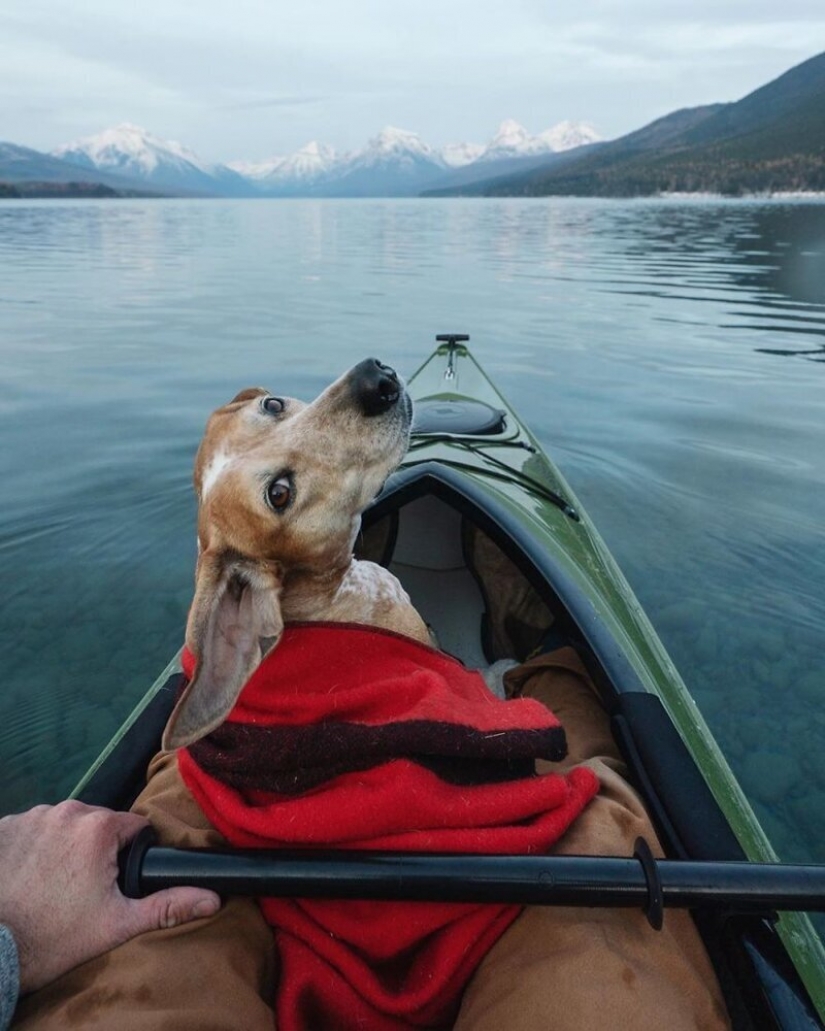 Como un viaje fotógrafo Theron Humphrey y su perro Maddie